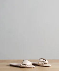 Dani Slide