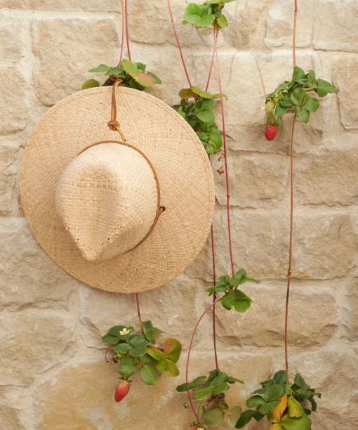 Safari Hat