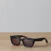 Webster Sunglasses